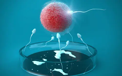 试管婴儿胚胎移植是怎么一回事？(图1)