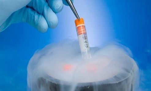 试管婴儿冷冻的胚胎是怎样复苏的?(图1)