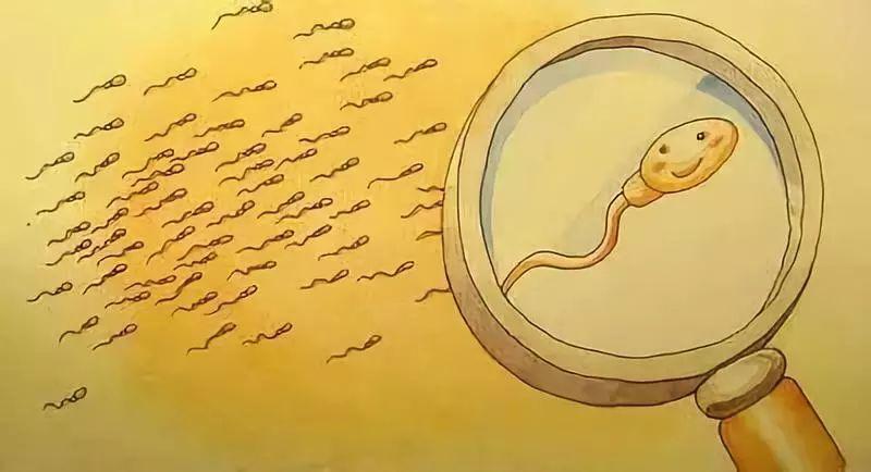 睾丸/附睾的精子做试管婴儿安全吗?(图1)