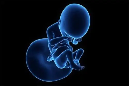 试管婴儿的医生建议我移植冻胚，为什么？(图1)