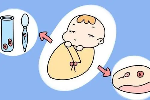 试管婴儿生的宝宝像爸爸还是像妈妈呢？(图1)