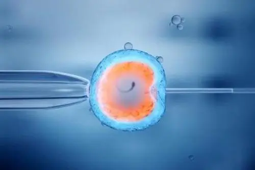 试管婴儿中如何可以培养出A级囊胚？这两点非常重要！(图1)
