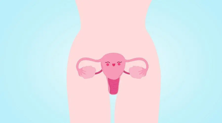 试管婴儿移植时，子宫内膜达到什么标准才可以呢？(图1)