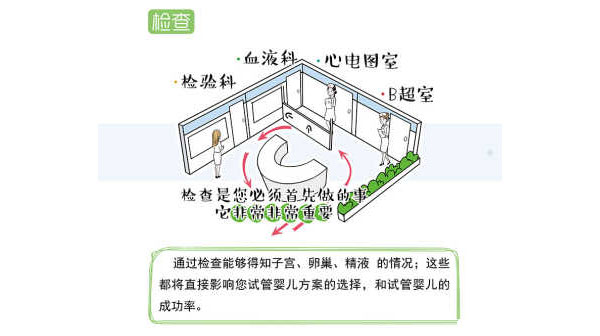 试管婴儿的流程(图3)