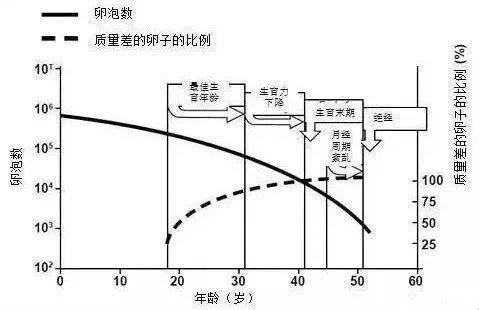 生育力与年龄的关系