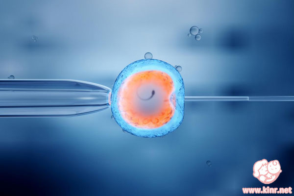 取卵会对卵巢造成影响吗
