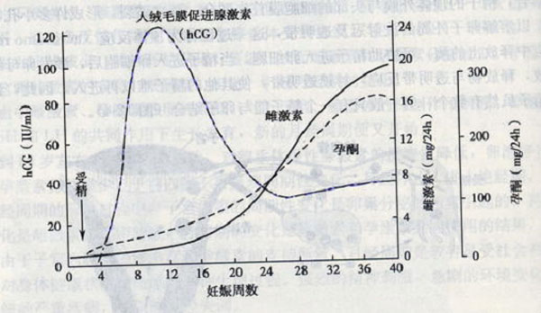 雌激素和孕激素水平的变化