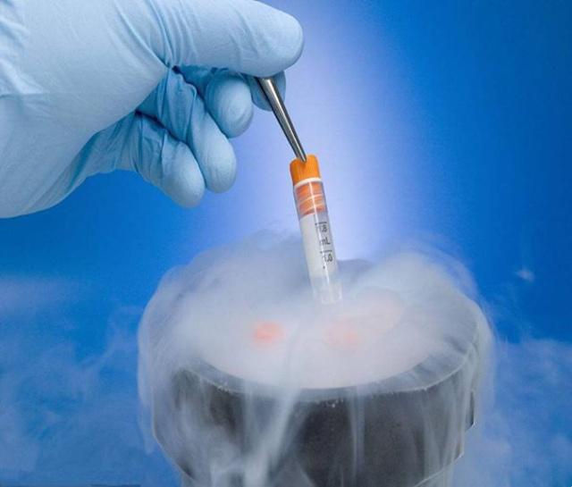 想要提高胚胎成功着床几率，试管婴儿移植后需要注意什么