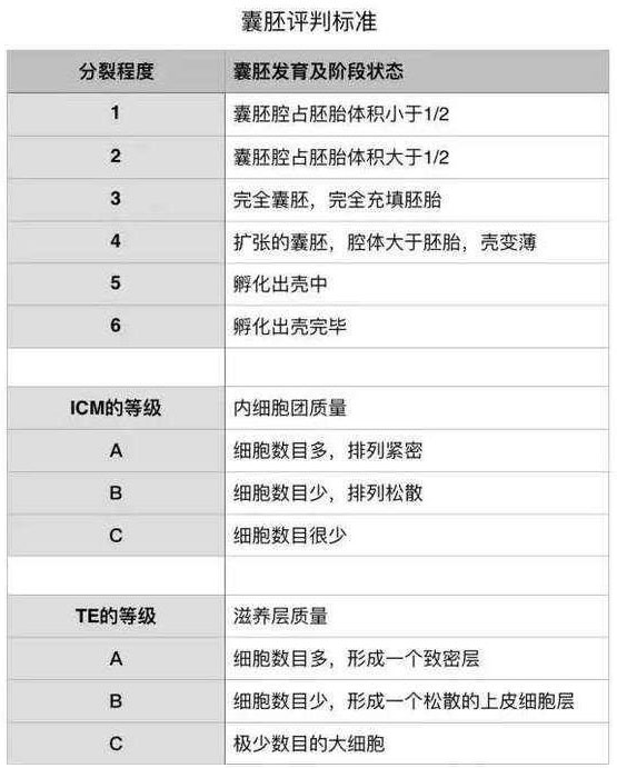 EK医院囊胚报告出久出