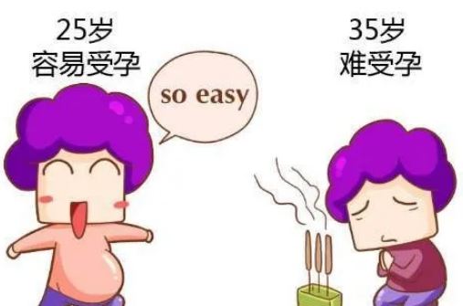 40岁以后做试管有多少概率？(图2)