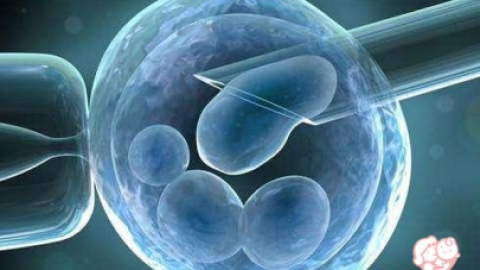 取卵会导致子宫内膜变薄吗