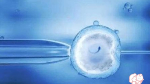 胚胎移植前憋尿的原因？应该如何憋尿呢