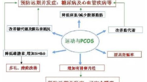 谣言！减肥对于患有多囊卵巢综合证的肥胖女性