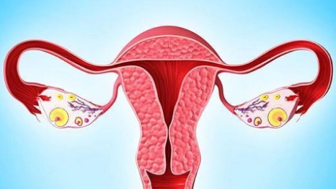 宫角妊娠有哪些症状，宫角妊娠几周最危险