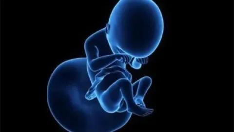 试管婴儿的医生建议我移植冻胚，为什么？