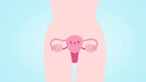 试管婴儿移植时，子宫内膜达到什么标准才可以呢？