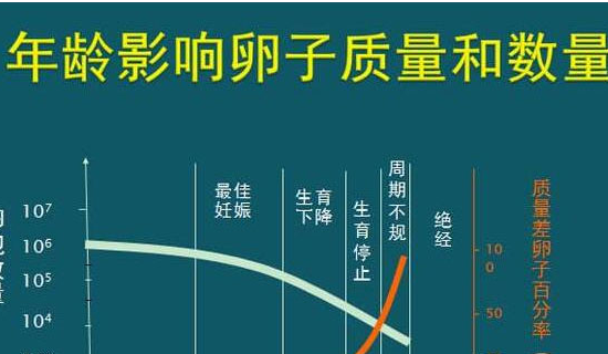 高龄失独夫妻做泰国试管婴儿,如何降低风险?
