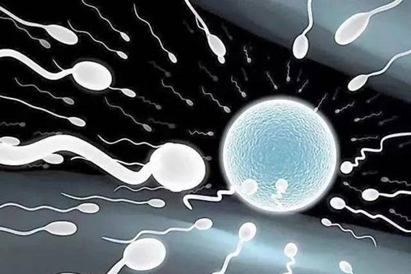 解析美国试管婴儿技术中应当怎样评估女性生育
