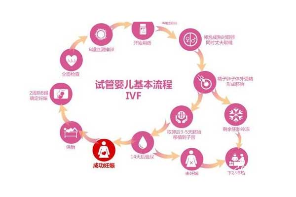 不一样的俄罗斯试管婴儿流程 25天即可好孕