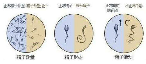 哪些人可以做乌克兰试管婴儿