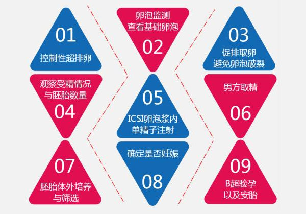 马来西亚试管婴儿具体流程分享这3点值得关注