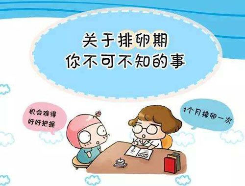 吃什么能促进排卵?分享给大家80%女性都不知道的