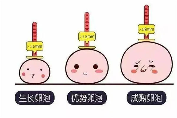 体外受精的步骤过程,每一步都很详细!(附图