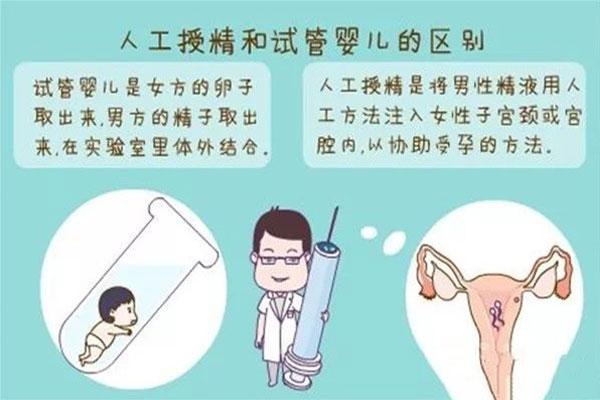 人工授精与试管婴儿的区别