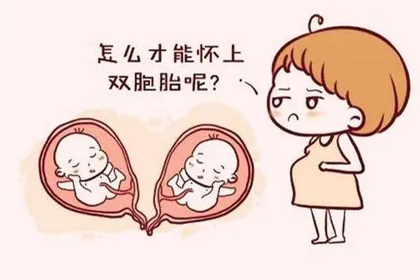 试管婴儿双胞胎几率有多大?