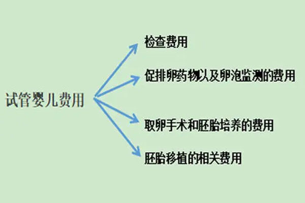 揭秘海外试管婴儿费用明细