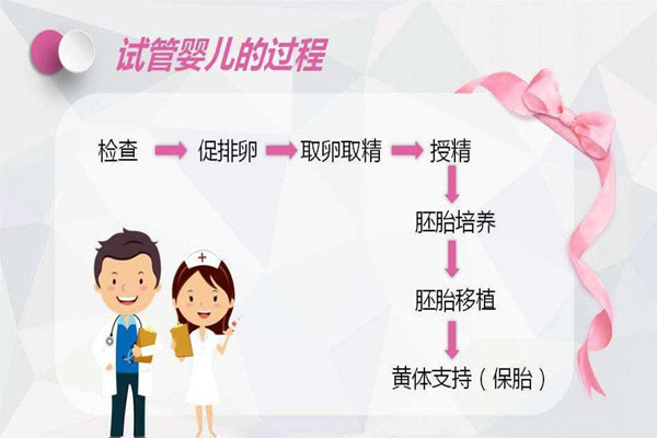 带你了解做试管婴儿全流程