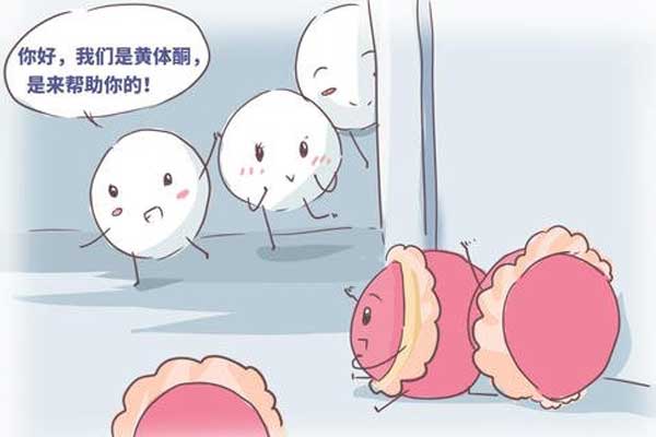 试管移植后为什么要黄体支持?黄体支持哪种好