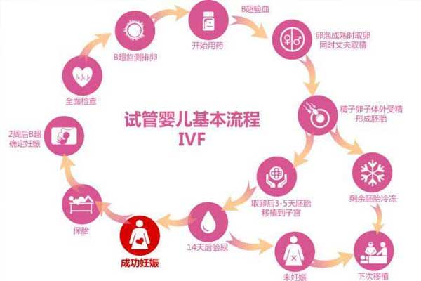 第三代泰国试管自己去取精之前的注意事项
