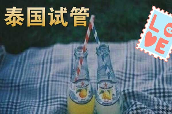 泰国试管婴儿费用比国内高很多,为什么会这样