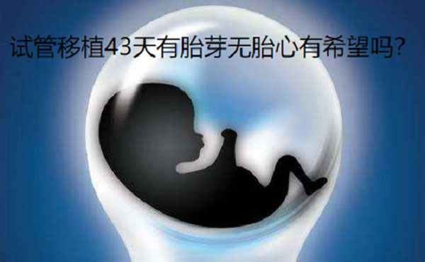 试管移植43天需警惕有胎芽无胎心