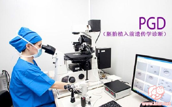 威它尼医院做试管一次抱俩的经历分享